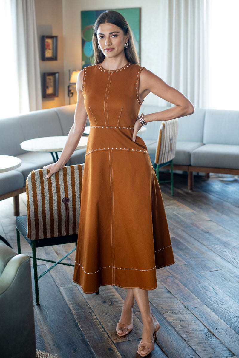 111222333-elizabeth-james-claire-dress-in-chocolate-1