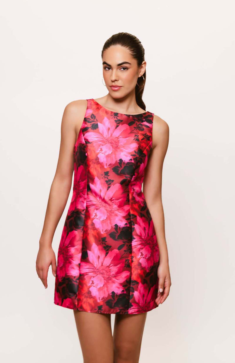 hutch pink and red dress Hutch Silas Dress