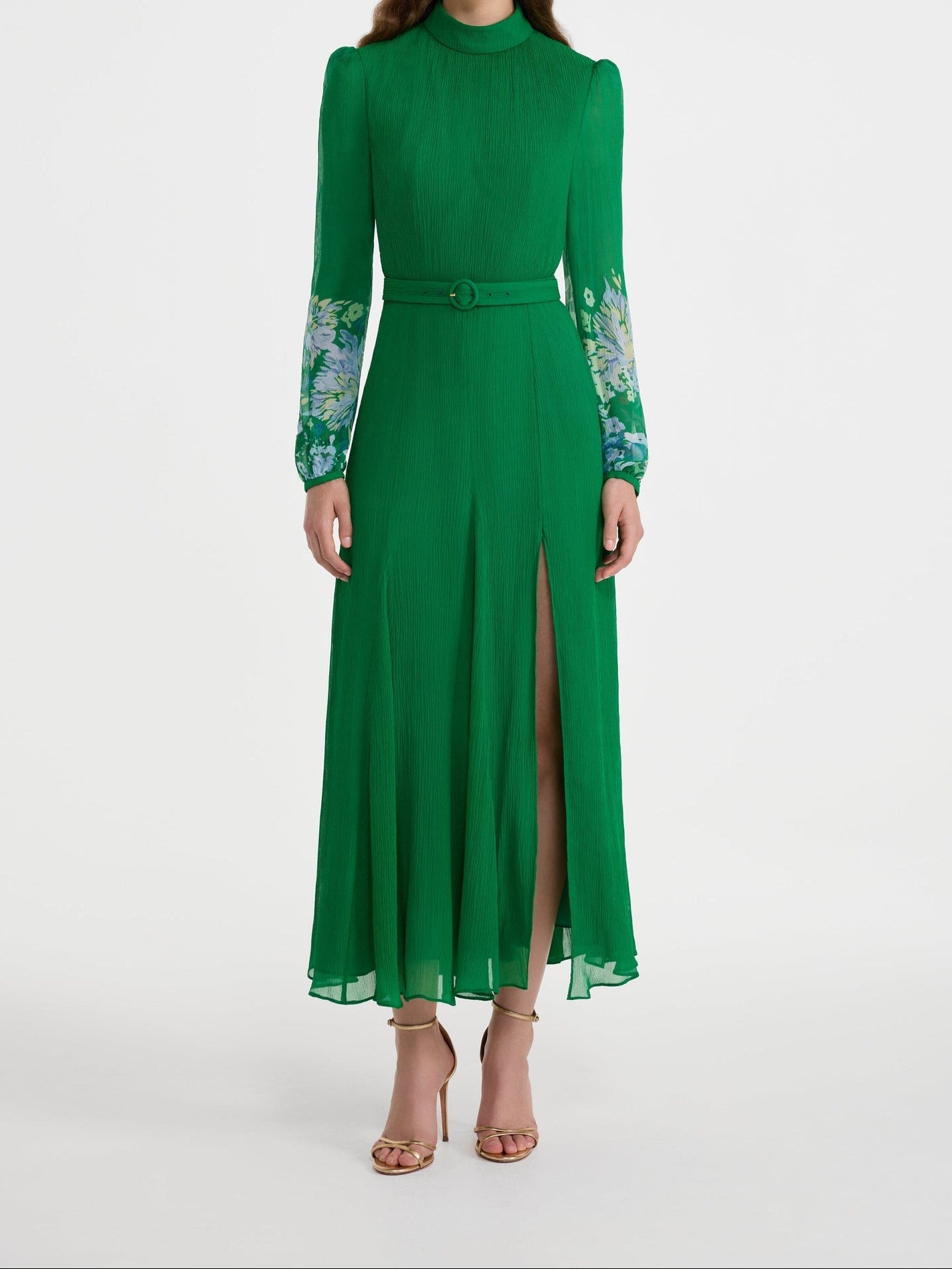11346-saloni-jacqui-d-dress-in-chrysanthemum-border-1
