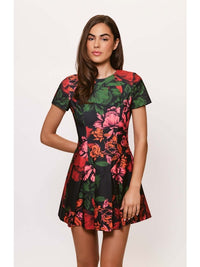 11581-hutch-emmanuel-dress-in-clack-multi-sketched-floral-1