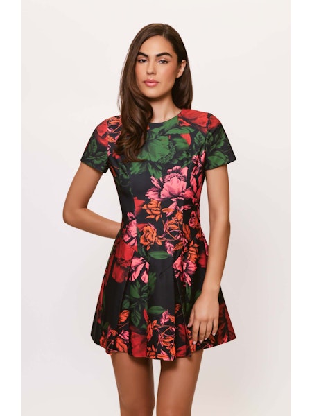 11581-hutch-emmanuel-dress-in-clack-multi-sketched-floral-1