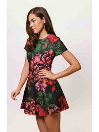 11581-hutch-emmanuel-dress-in-clack-multi-sketched-floral-1