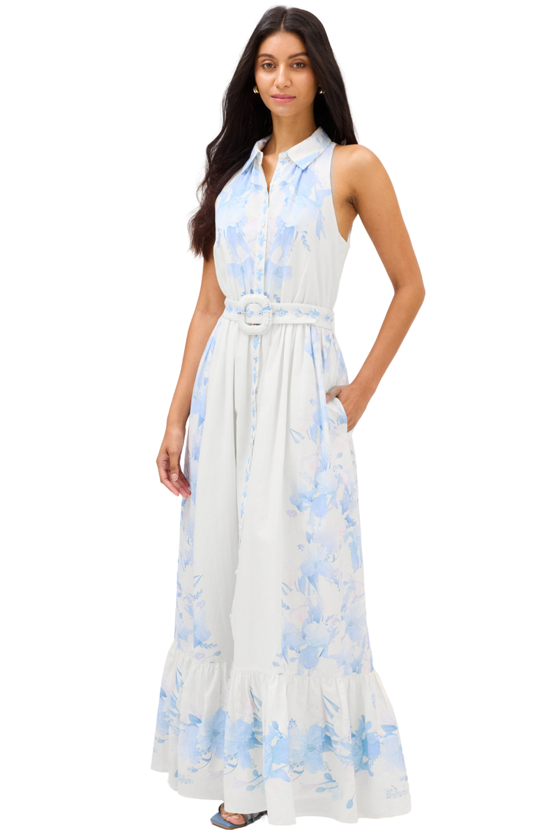 126D202P129-allison-new-york-juniper-maxi-dress-in-iris-watercolor-1