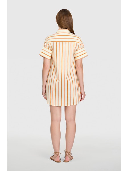 15125795012768-livro-dock-dress-in-dunmore-stripes-1