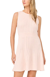 2036721-ted-baker-evelyn-knit-mini-dress-in-pale-pink-1