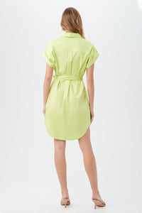 Simpatico Dress in Lime Fizz
