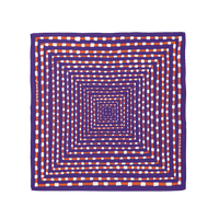 253363-swells-clemson-colorblock-scarf-in-purple-and-orange-1