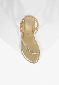 256771-schutz-cleo-flat-sandal-in-platina-1