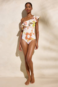 409-199-224A-marie-oliver-marissa-one-piece-swimsuit-in-travertine-1