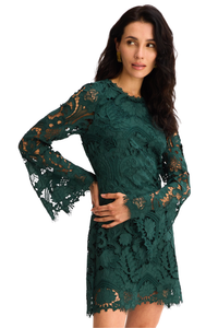 425D20231-allison-new-york-daisey-dress-in-pine-green-1