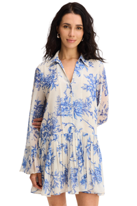 526D202P128-allison-new-york-kate-dress-in-blue-floral-1