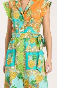 71131EE-tyler-boe-paige-shirt-dress-in-positano-1
