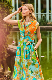 71131EE-tyler-boe-paige-shirt-dress-in-positano-1