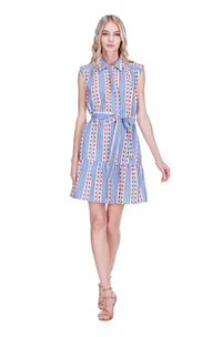 76A4871-joy-joy-front-placket-shirt-dress-in-colonial-stripe-1