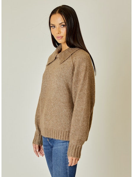 Collar Long Sleeve Sweater in Cedar