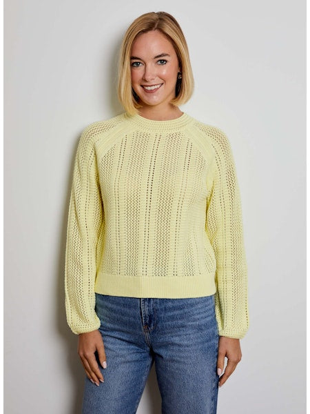 BTJ1412049-design-history-long-sleeve-raglan-sweater-in-fresh-zest-1