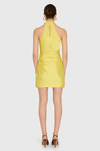 CAM23046-amanda-uprichard-chantel-dress-in-sunshine-1