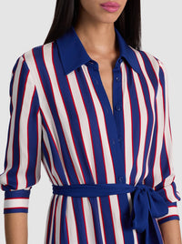 CC603P21544N458-alice-and-olivia-chassidy-shirt-dress-in-noveau-twilight-stripe-2