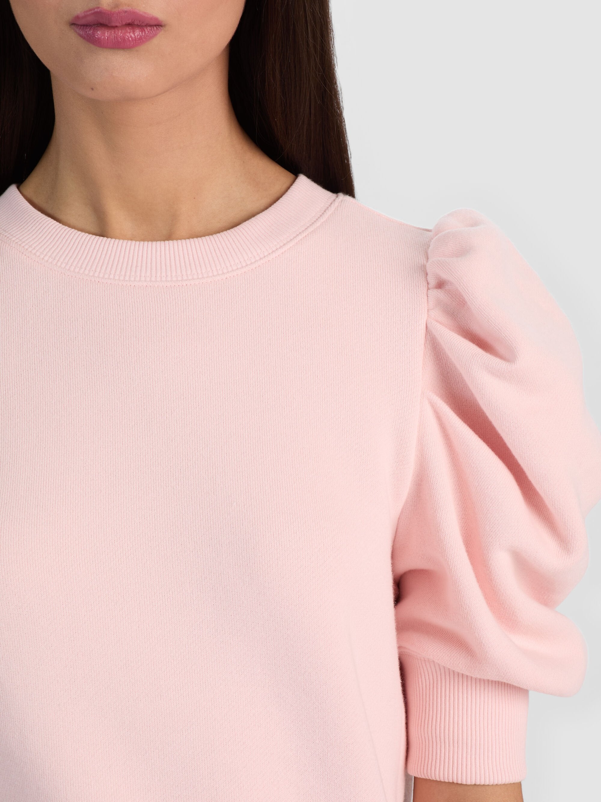 CC604V49040T661-alice-and-olivia-tyler-puff-sleeve-top-in-english-rose-1