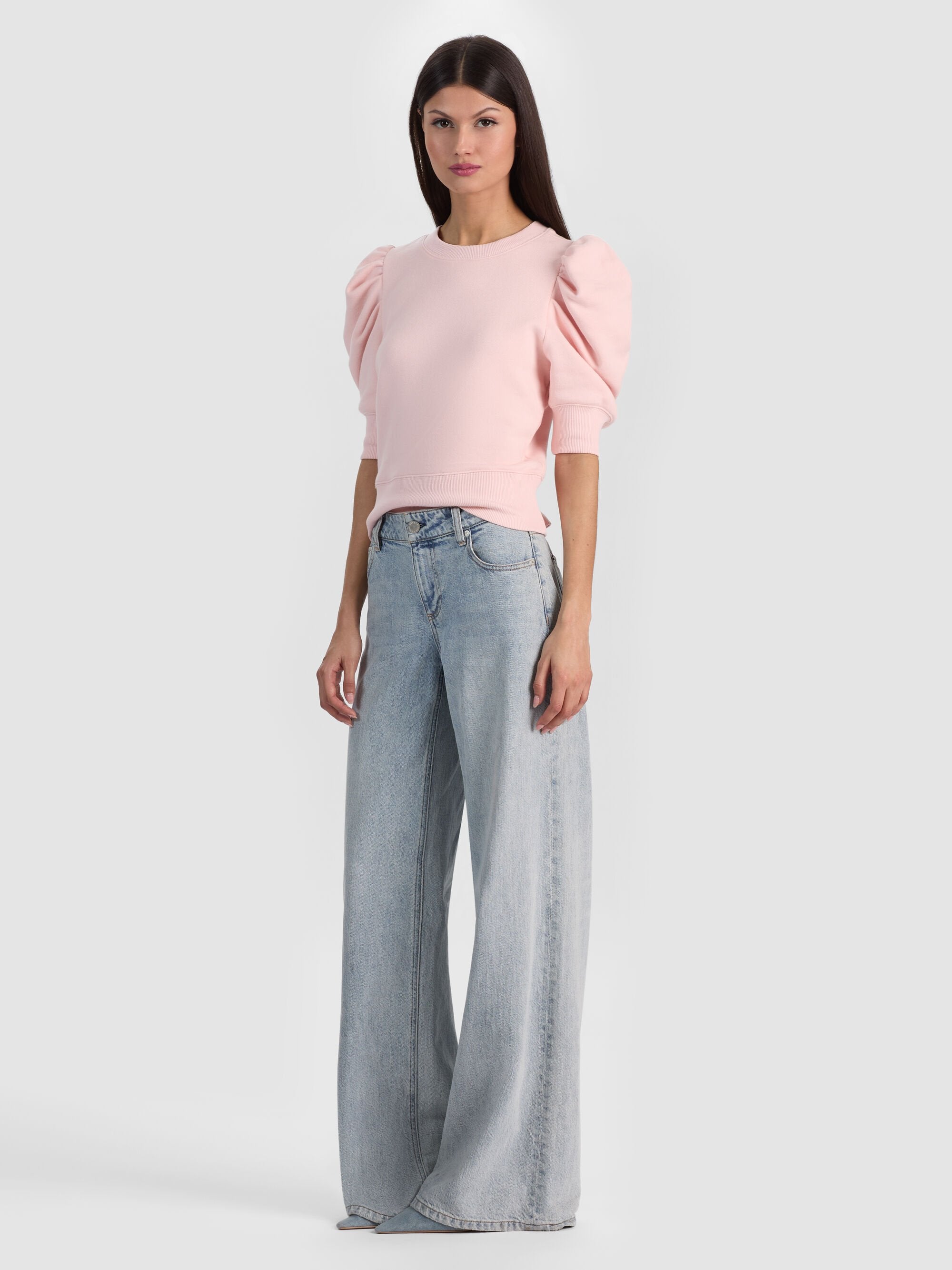 CC604V49040T661-alice-and-olivia-tyler-puff-sleeve-top-in-english-rose-1