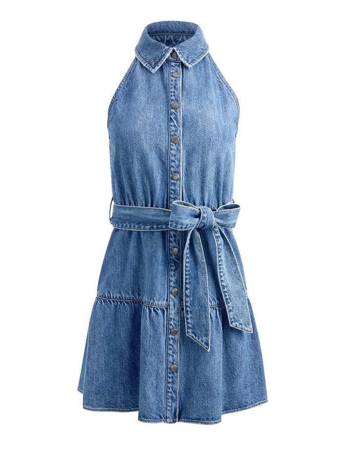 Miranda Denim Dress in Albee Vintage Blue