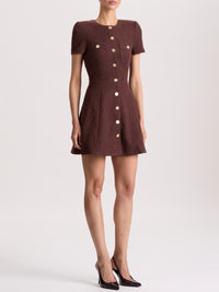 CL000W11504-alice-and-olivia-shiloh-dress-in-dark-chocolate-1