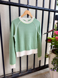 F265-776-lisa-todd-stitchin-sweater-in-sage-1