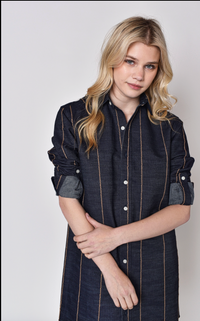 GFD-DENSTBR-emily-phillips-button-down-mini-dress-in-denim-brown-stripe-1