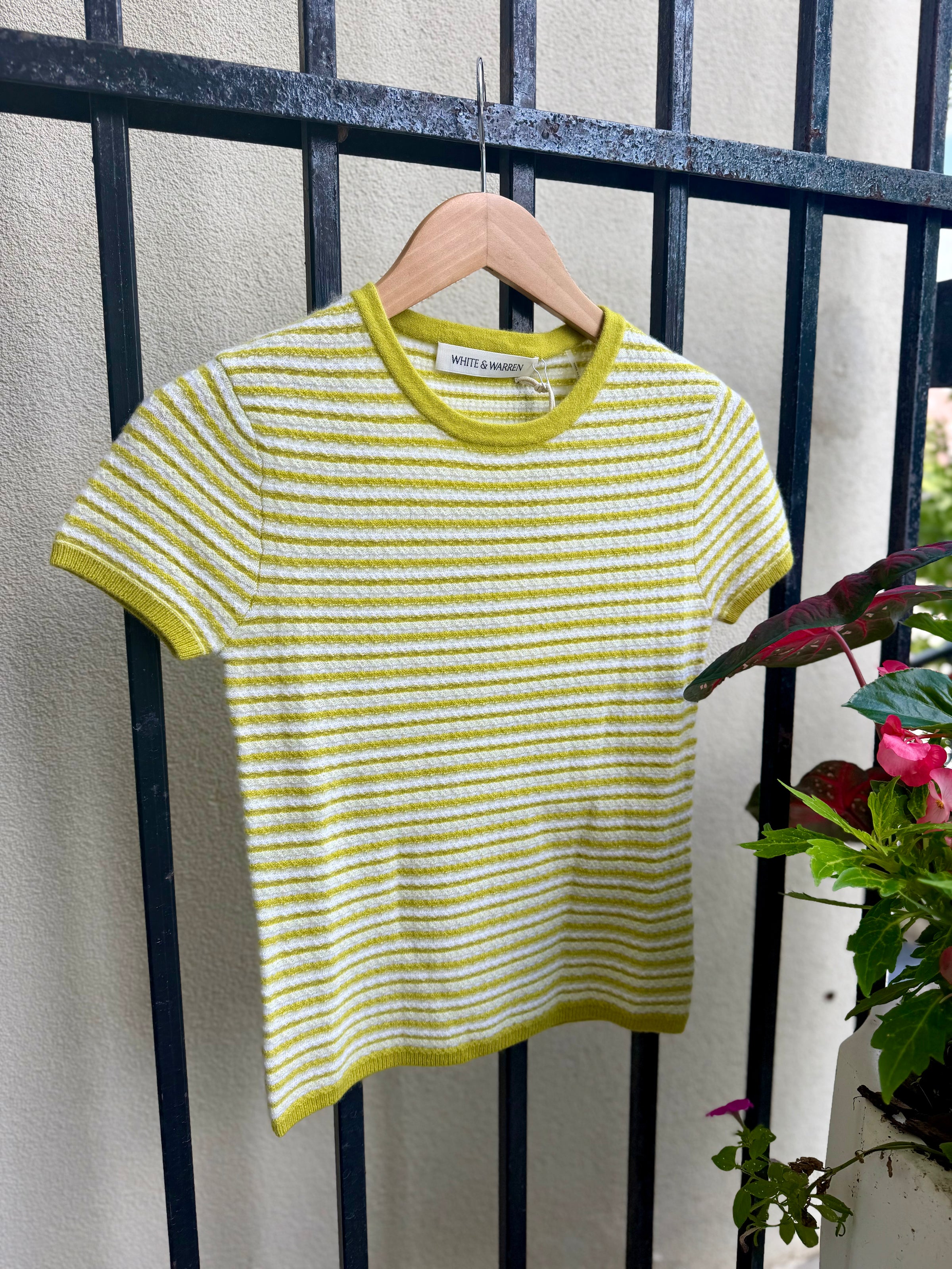 Cashmere Striped Tee in Citronelle Stripe