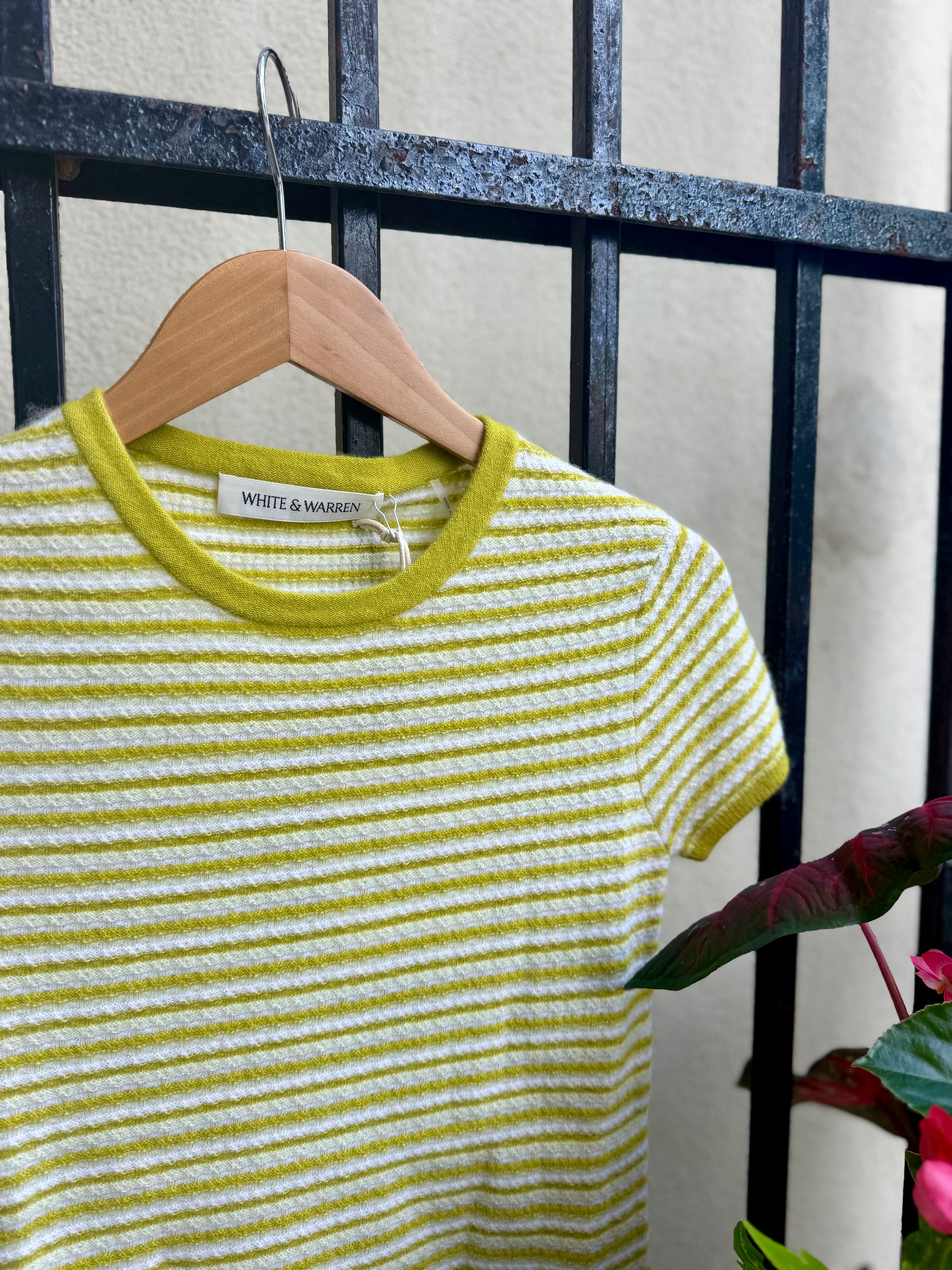 Cashmere Striped Tee in Citronelle Stripe