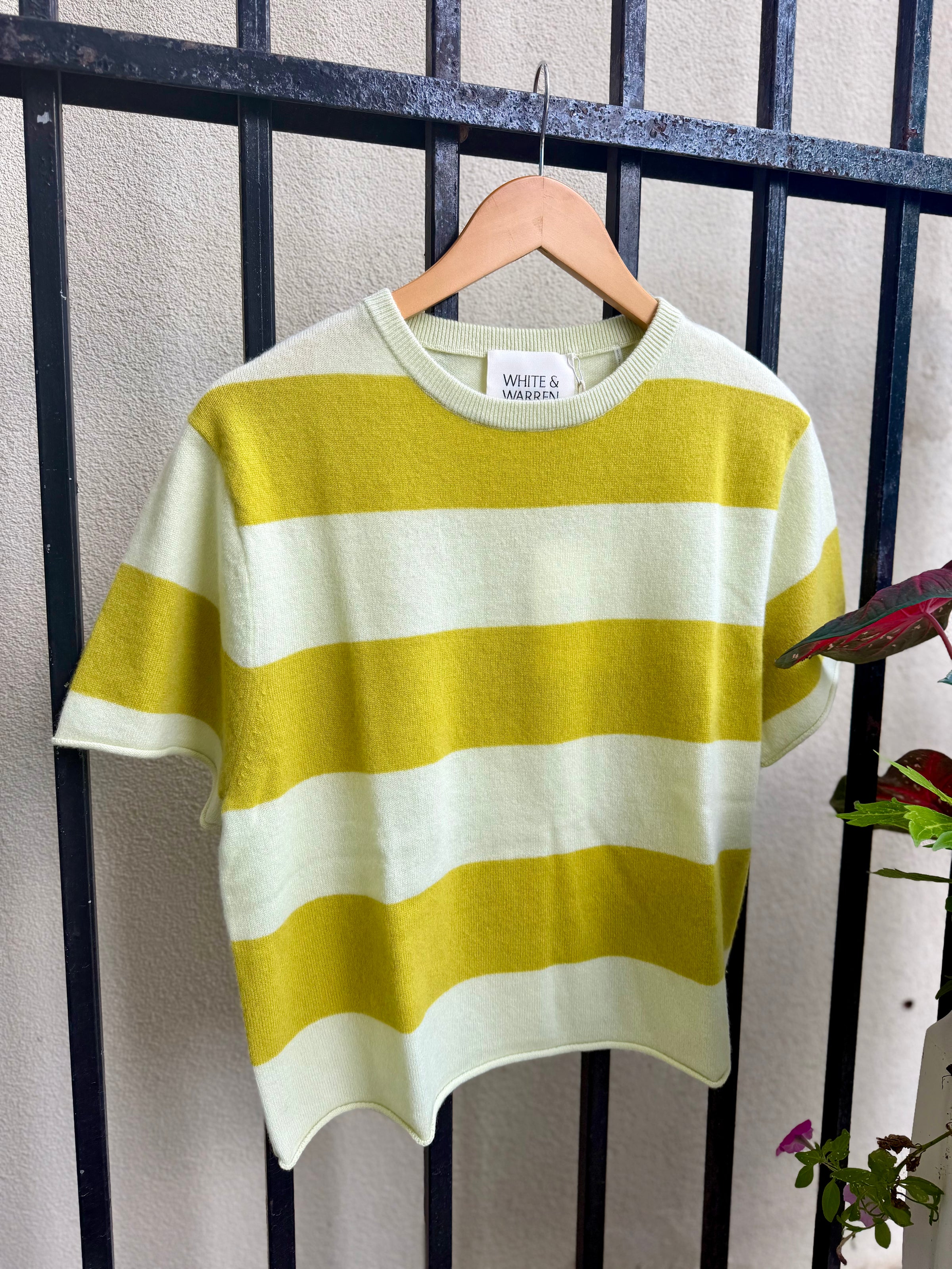 Cashmere Stripe Tee in Pale Pistachio/Cintronelle