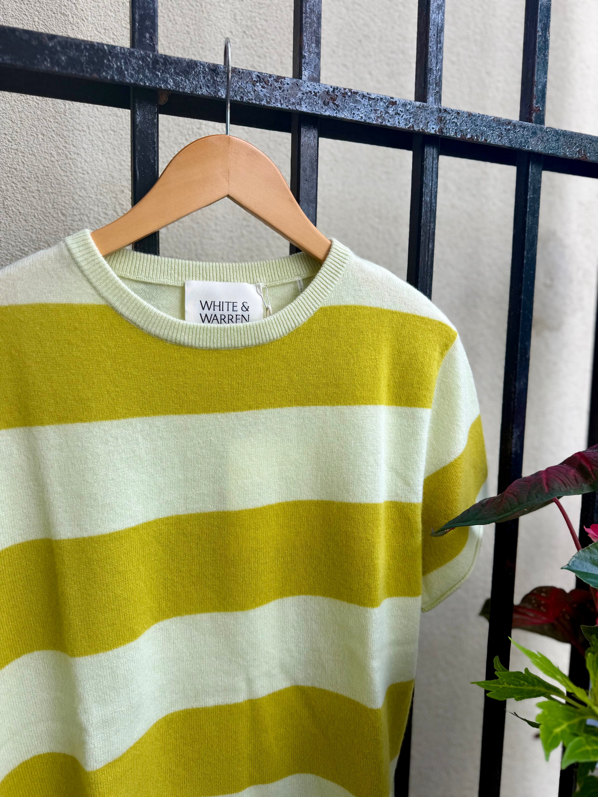 Cashmere Stripe Tee in Pale Pistachio/Cintronelle