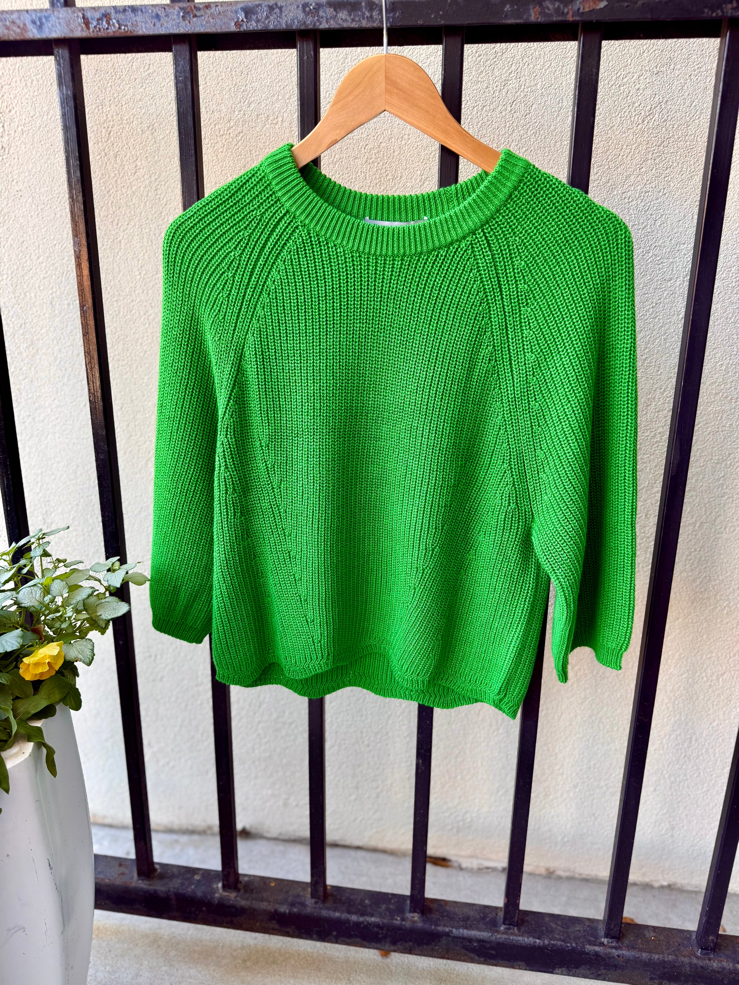 N14482-autumn-cashmere-wide-sleeve-shaker-crewneck-sweater-in-clover-1