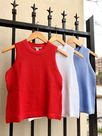 N14527-autumn-cashmere-texture-stitch-knit-tank-in-halogen-1