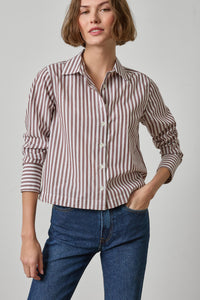 PA3536-lilla-p-straight-fit-button-down-in-chestnut-stripe-1