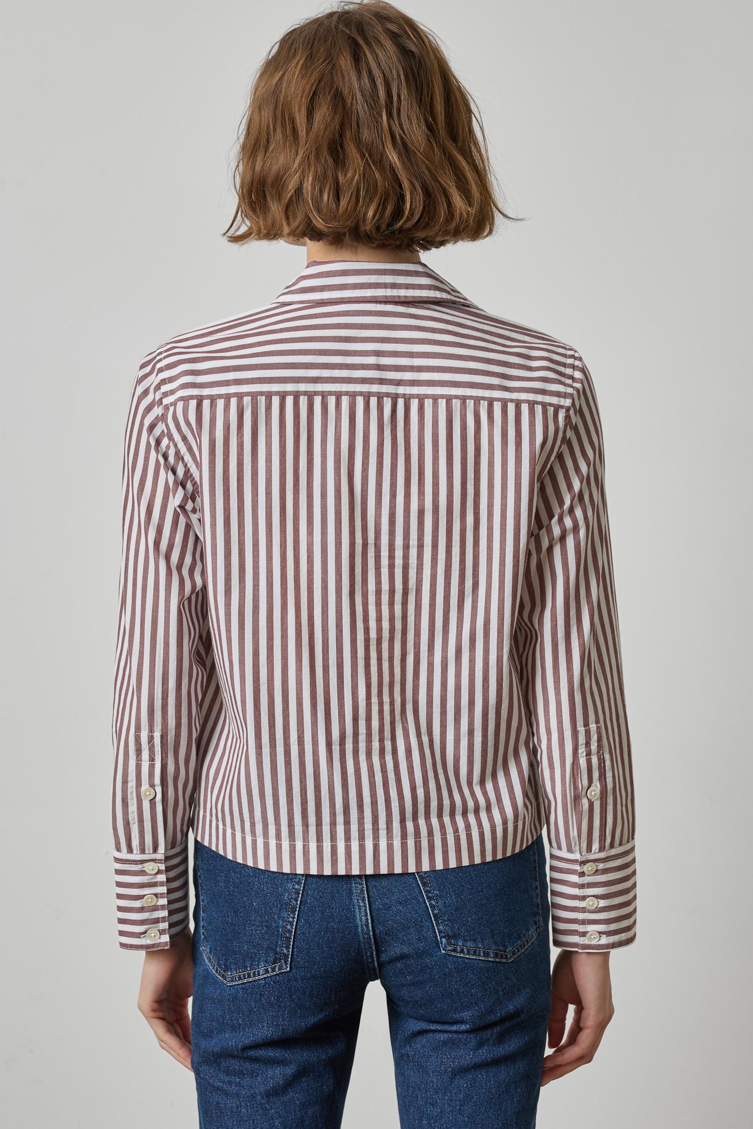 PA3536-lilla-p-straight-fit-button-down-in-chestnut-stripe-1