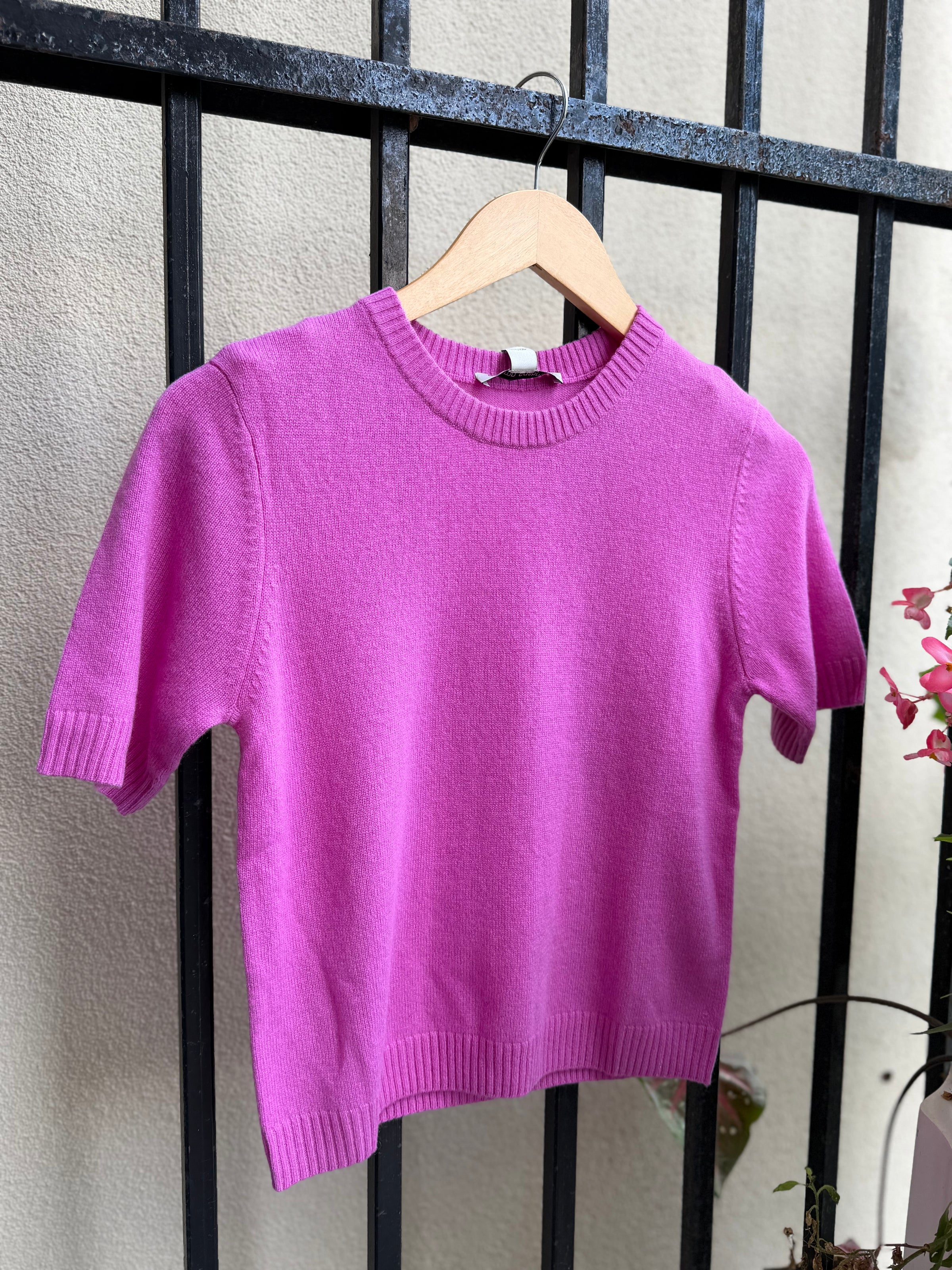 R14587-autumn-cashmere-cropped-crew-neck-sweate-in-azalea-1
