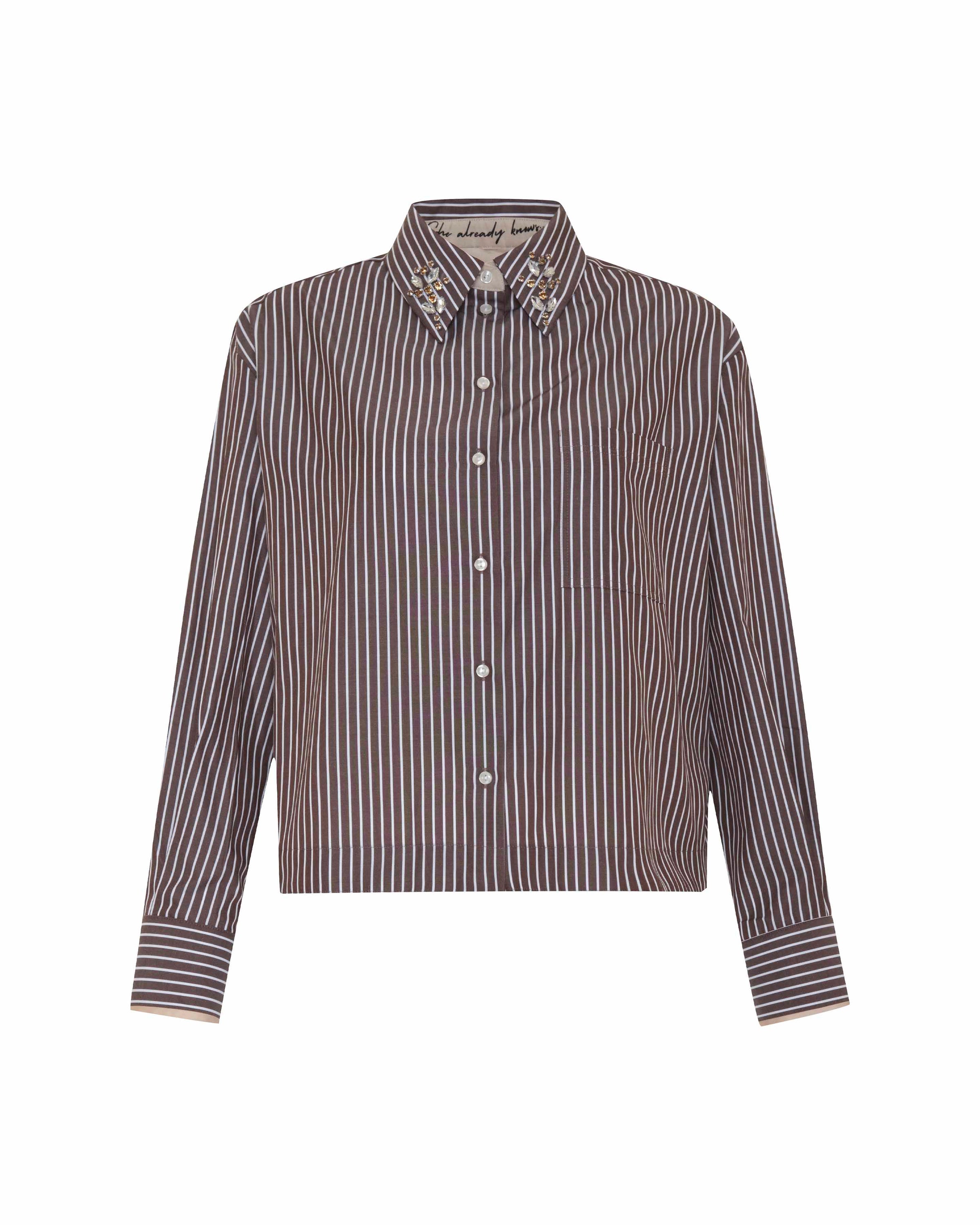 T2607B506-theo-echo-stripe-crystal-collar-shirt-in-huckleberry-1