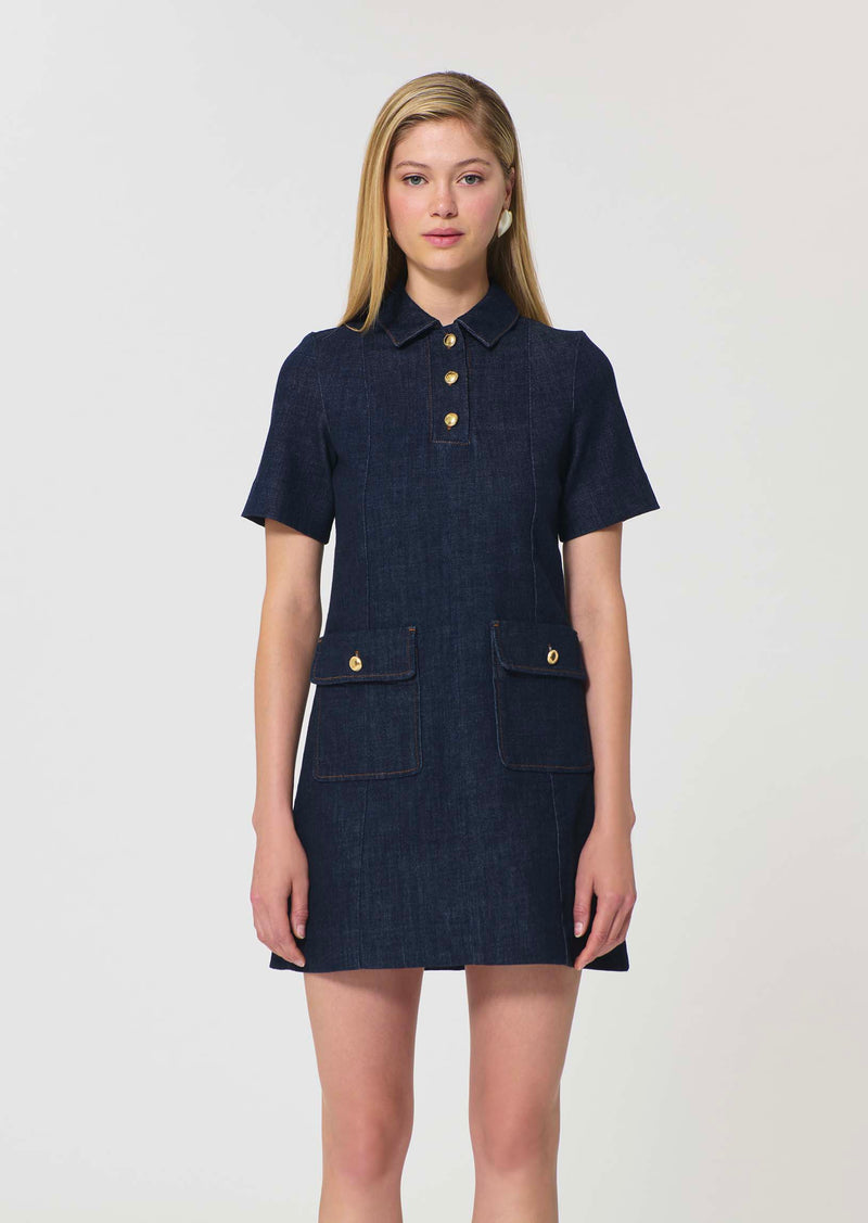 TXROB28TX361-tara-jarmon-roanne-dress-in-brut-1