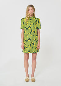 TXROB35TX209-tara-jarmon-rudy-dress-in-vert-anglais-1