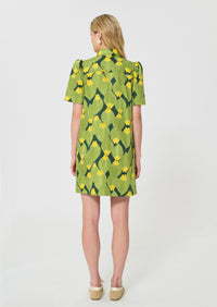 TXROB35TX209-tara-jarmon-rudy-dress-in-vert-anglais-1