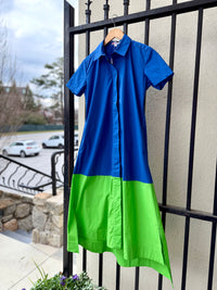 caryn-lawn-millie-colorblock-dress-in-royal-blue-1