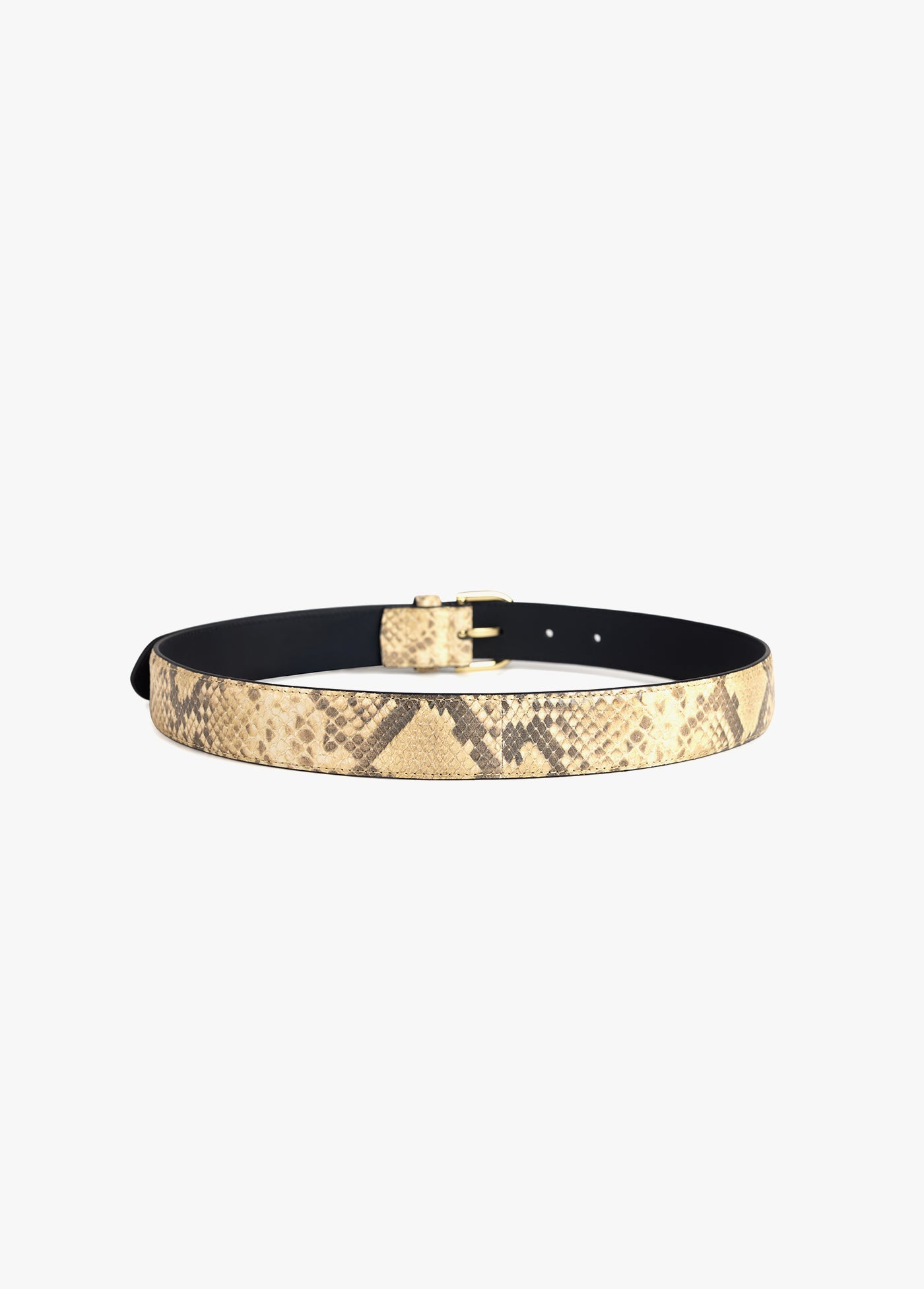 fdwb567550-favorite-daughter-juni-belt-in-snake-gold-1