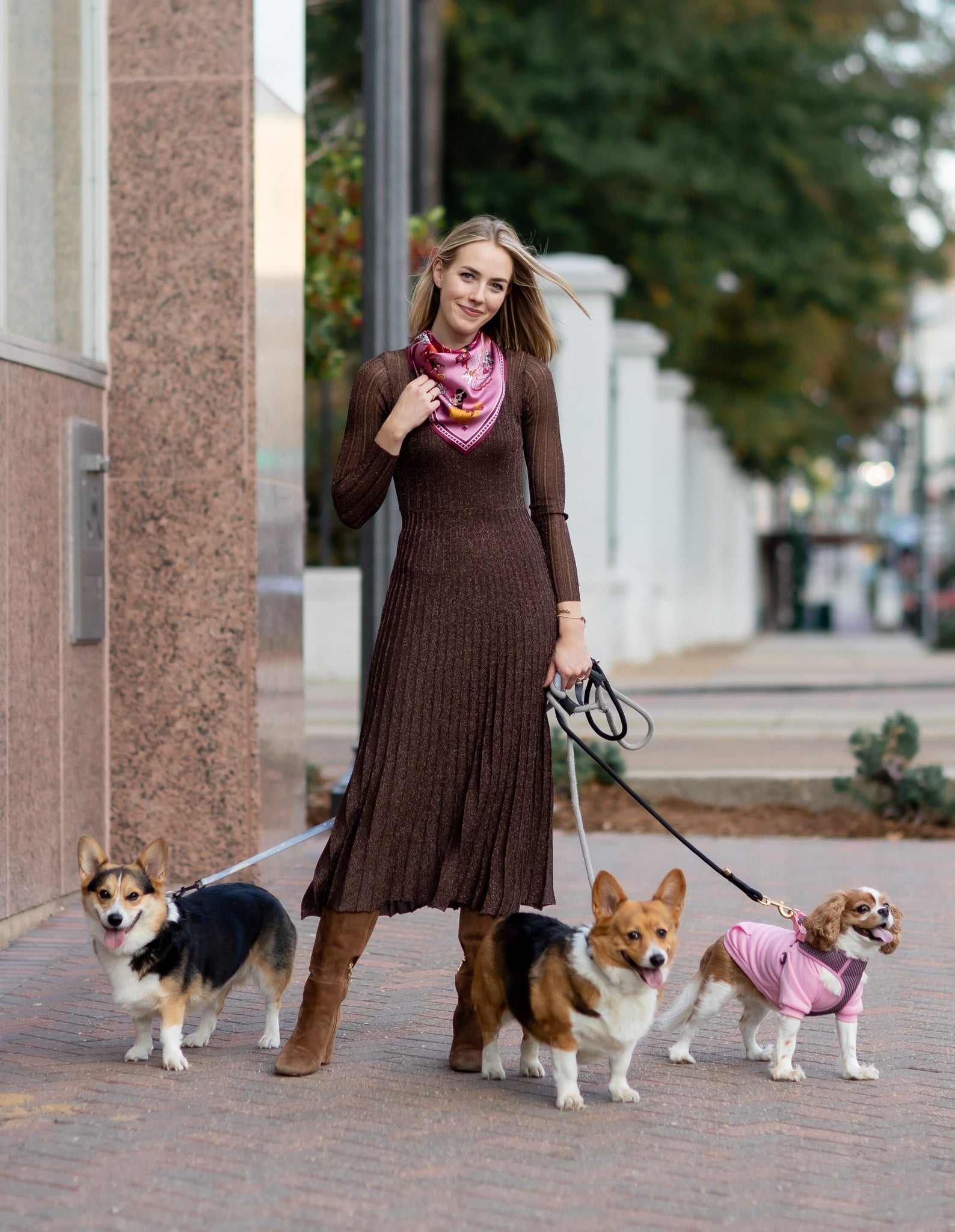 swells-new-york-dogs-in-magenta-2