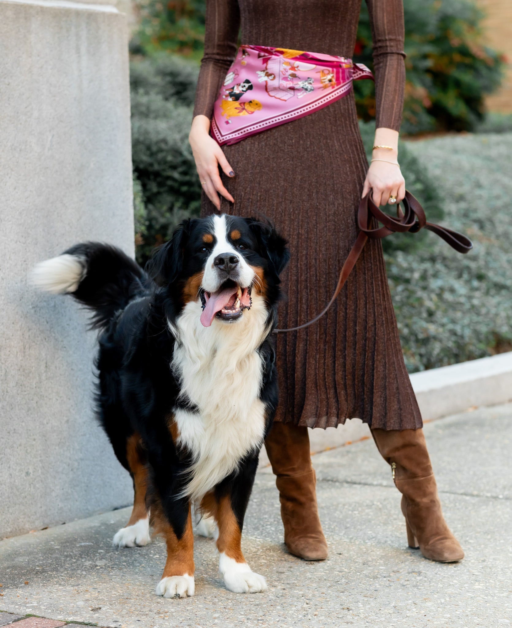 swells-new-york-dogs-in-magenta-3