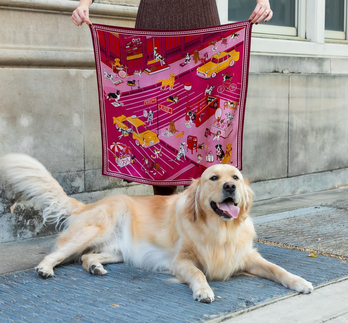 swells-new-york-dogs-in-magenta-4