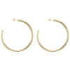 Everybody's Favorite Hoop Earrings in Matte Gold